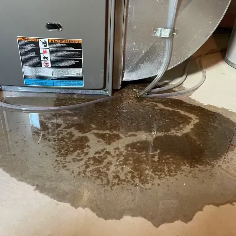 Appliance Leak Cleanup in Plano, IL